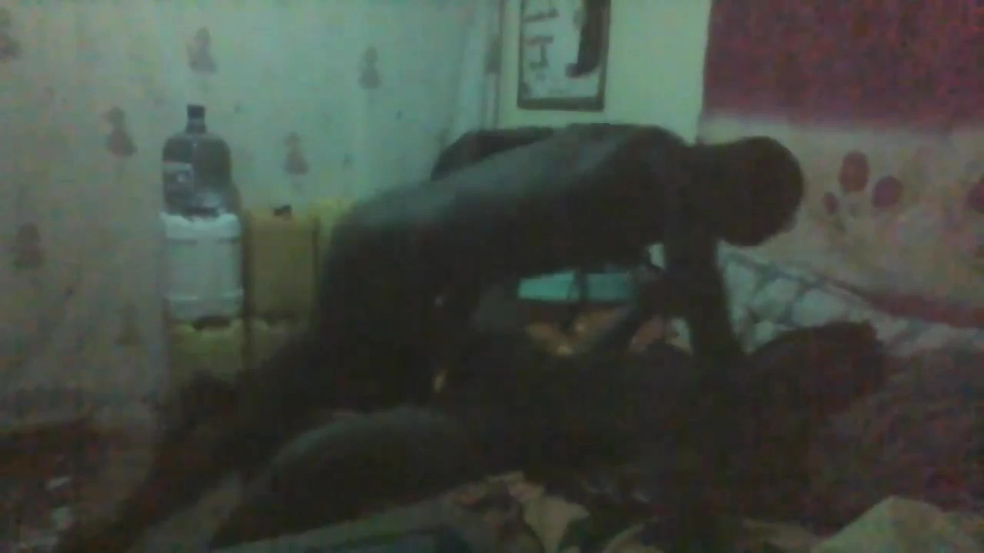 horny husband and wife fucking after wedding